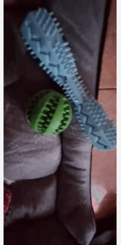 Delicious Ball, This Rubber Tooth Cleaning Snack Ball Toy is a Game – Changer For Pet Dental Care. photo review